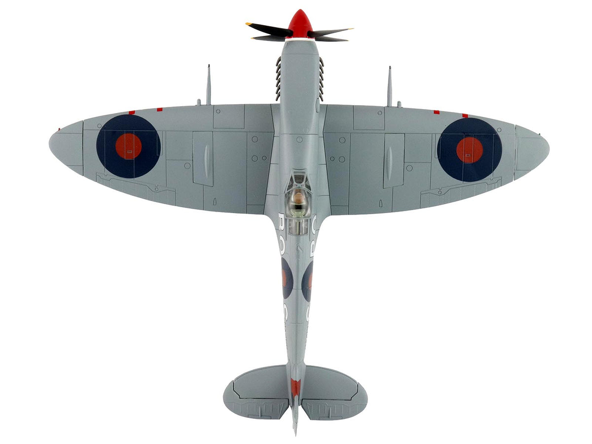 Supermarine Spitfire Mk IXc Fighter Aircraft "MA466 BQ-S No. 451 Squadron Corsica" (1944) Royal Australian Air Force "Air Power Series" 1/48 Diecast Model